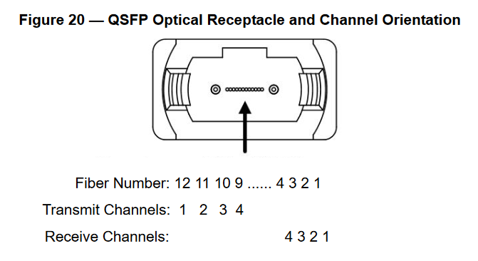 MPO fiber numbering from the QSFP+ MSA
